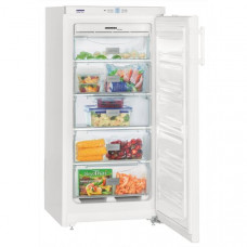 Congélateur armoire No-Frost LIEBHERR - GNP1913.22