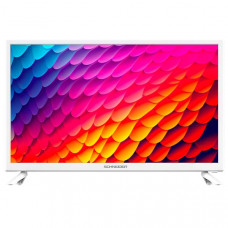 SCHNEIDER TV LED HDTV - GMS24N100W pas cher